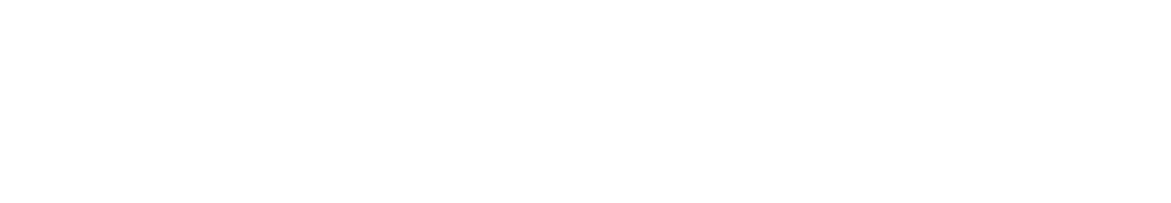 Lion Street Logo